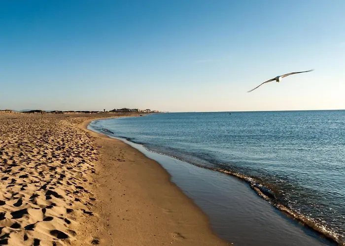 Grand Sud-16 By Interhome カネ